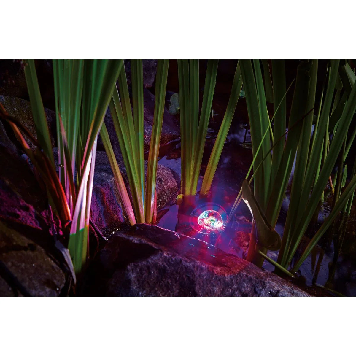 ProfiLux Garden LED RGB - Japankoi.net