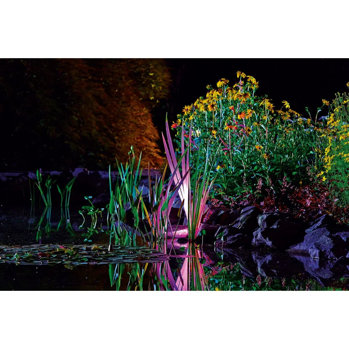 ProfiLux Garden LED RGB - Japankoi.net
