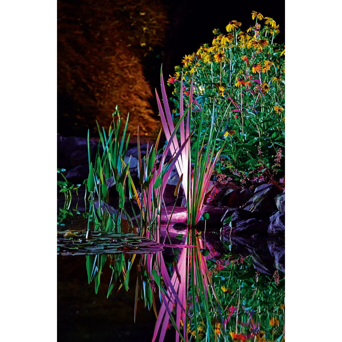 ProfiLux Garden LED RGB - Japankoi.net