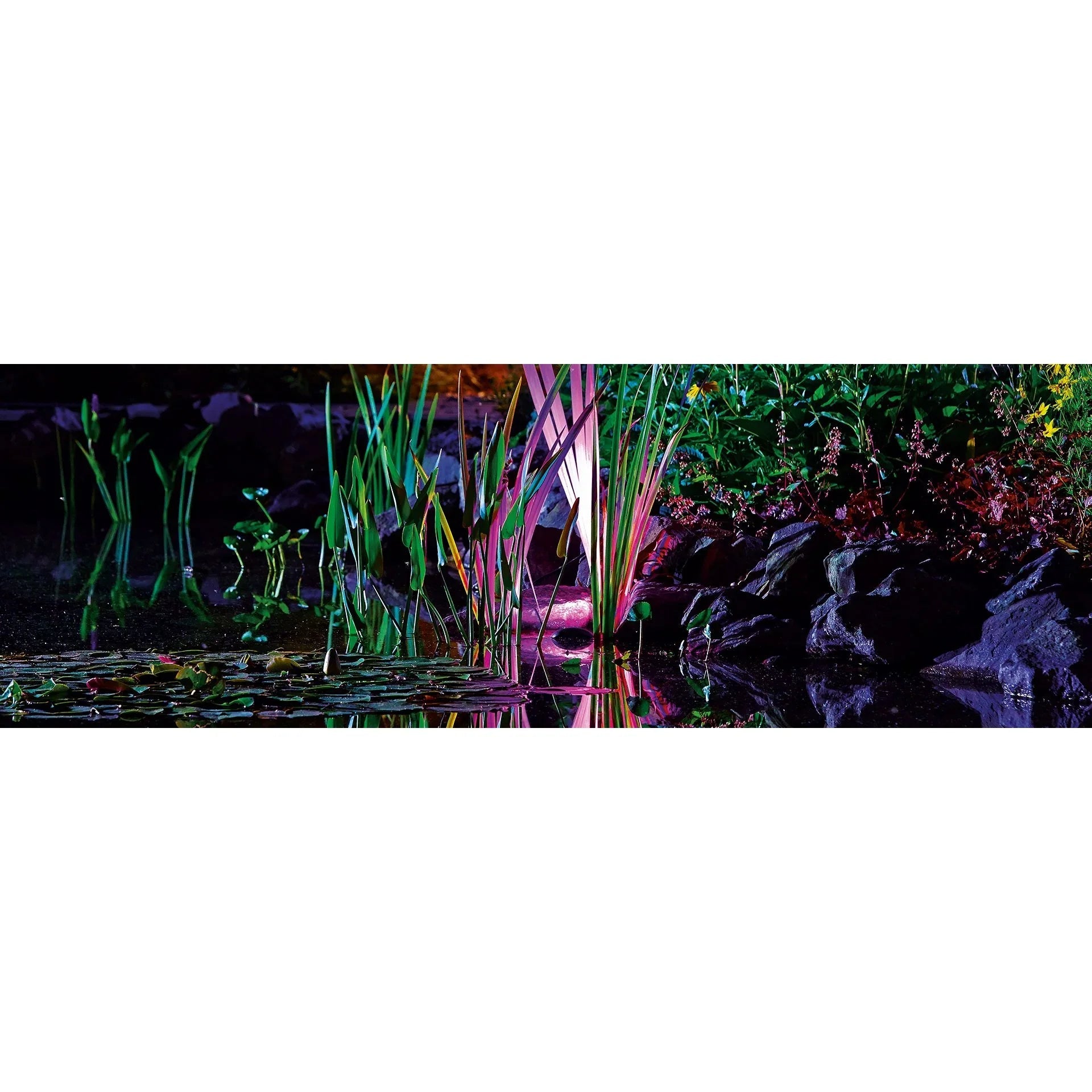 ProfiLux Garden LED RGB - Japankoi.net