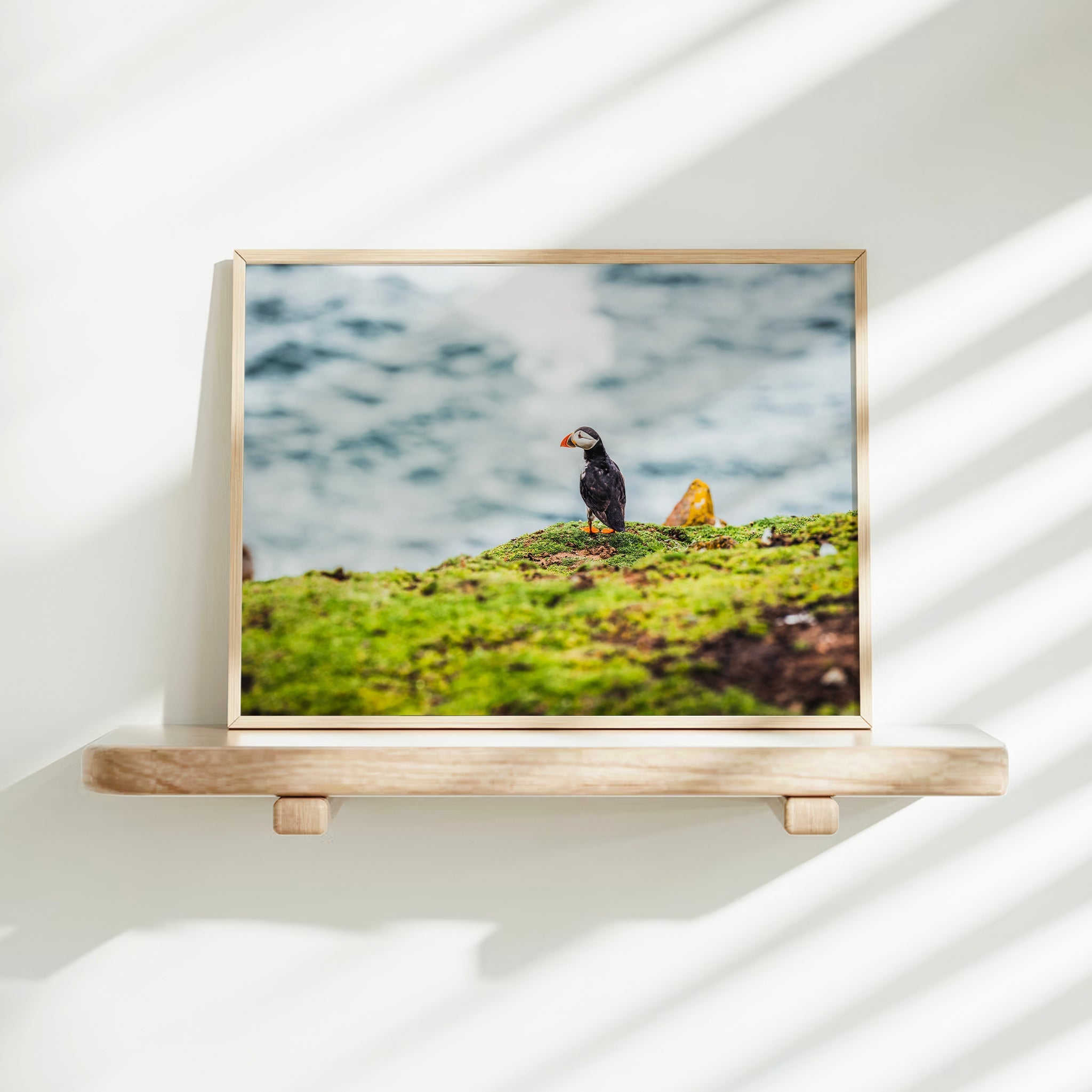 Puffin on Saltee Island – Irish Coastal Wall Art Print