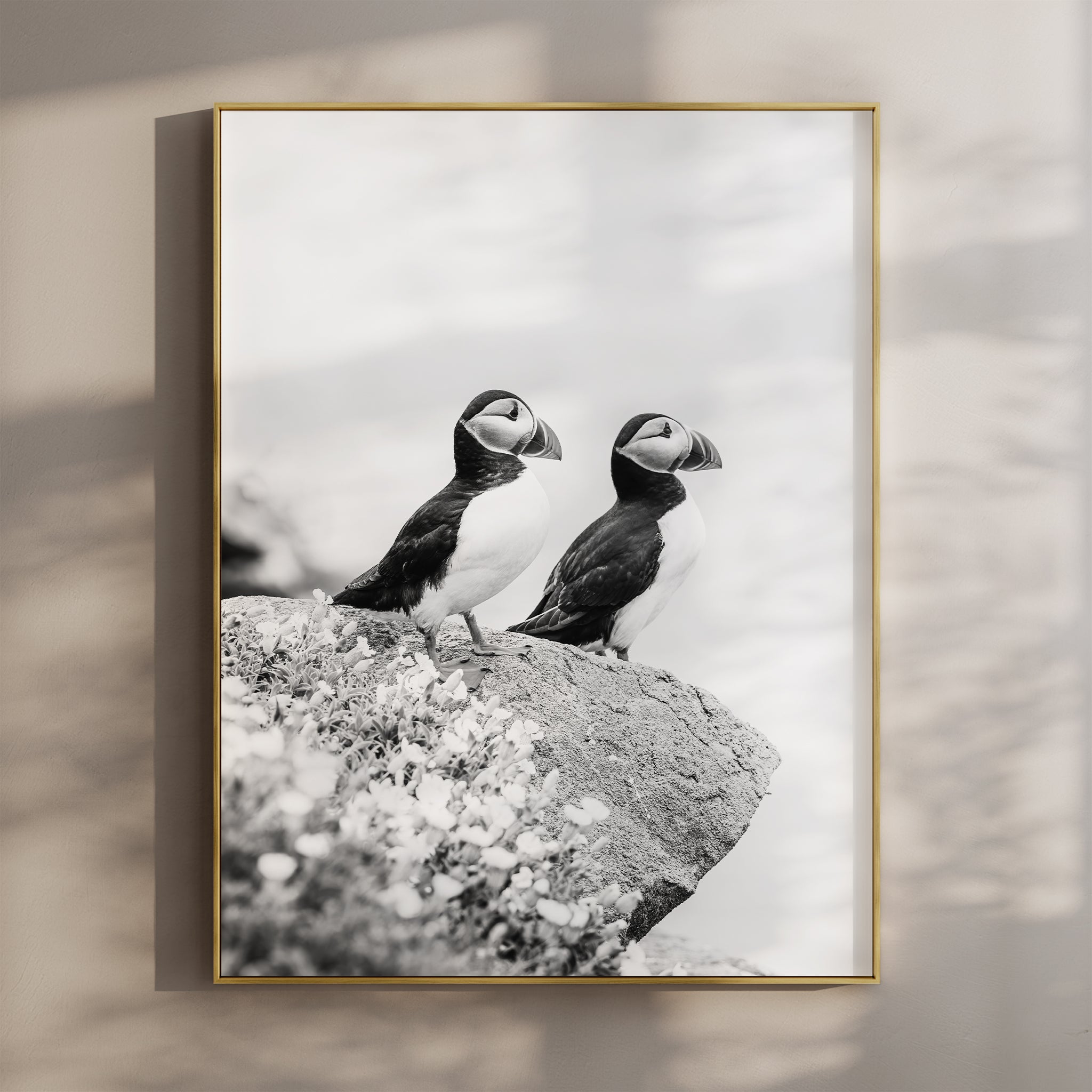 Black and White Puffins Print – Wildlife Photography Wall Art