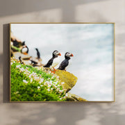 Puffins on Saltee Island – Irish Coastal Wildlife Wall Art by Chamonix Prints