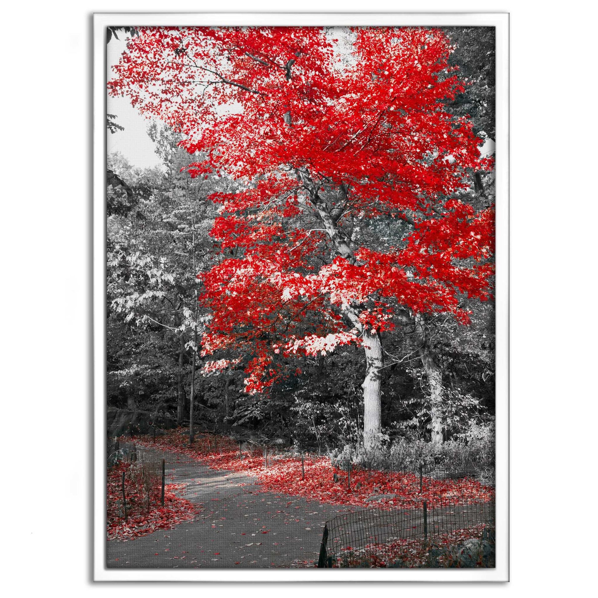 Red Autumn - Leinwandbild Landschaft by SimpleCanvas