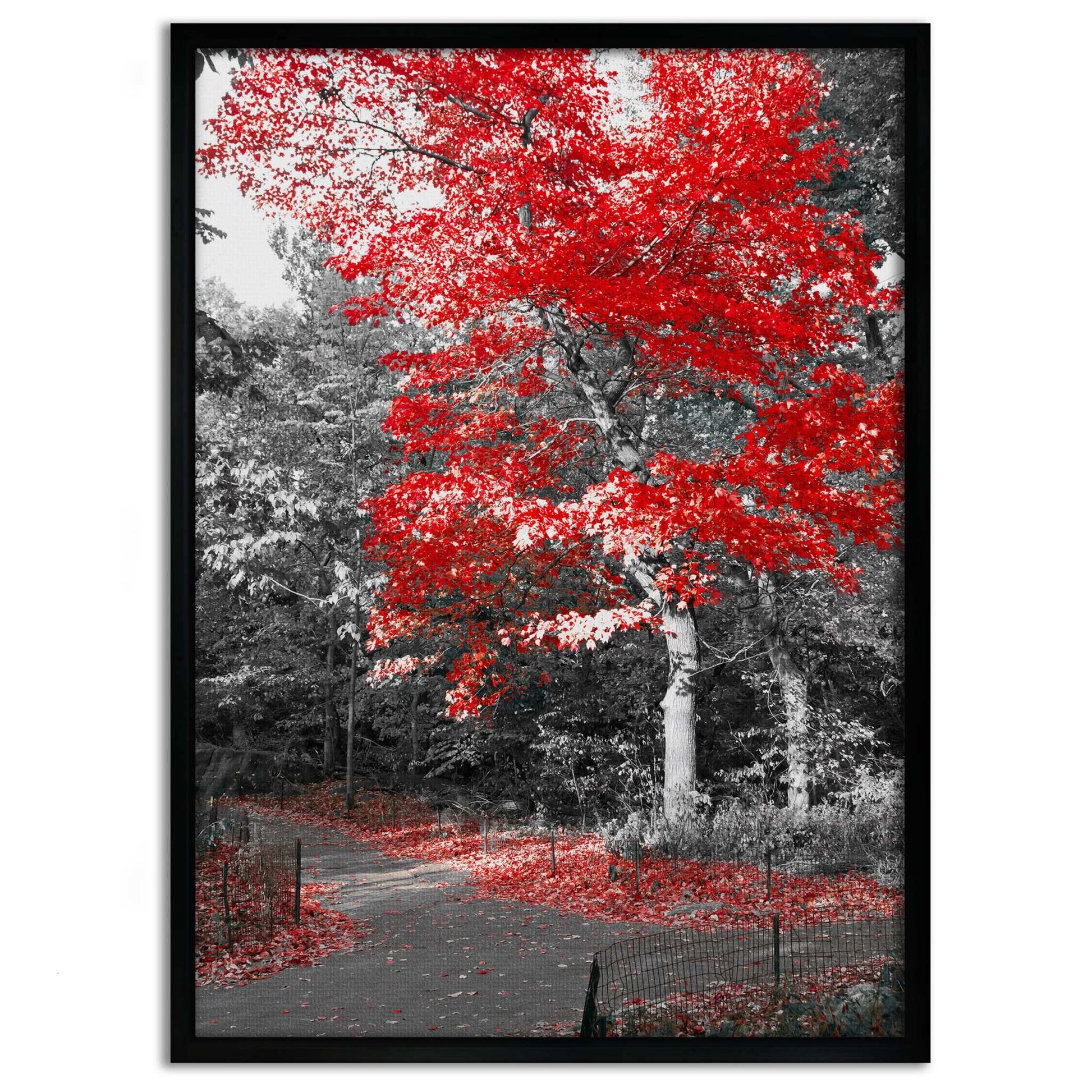 Red Autumn - Leinwandbild Landschaft by SimpleCanvas