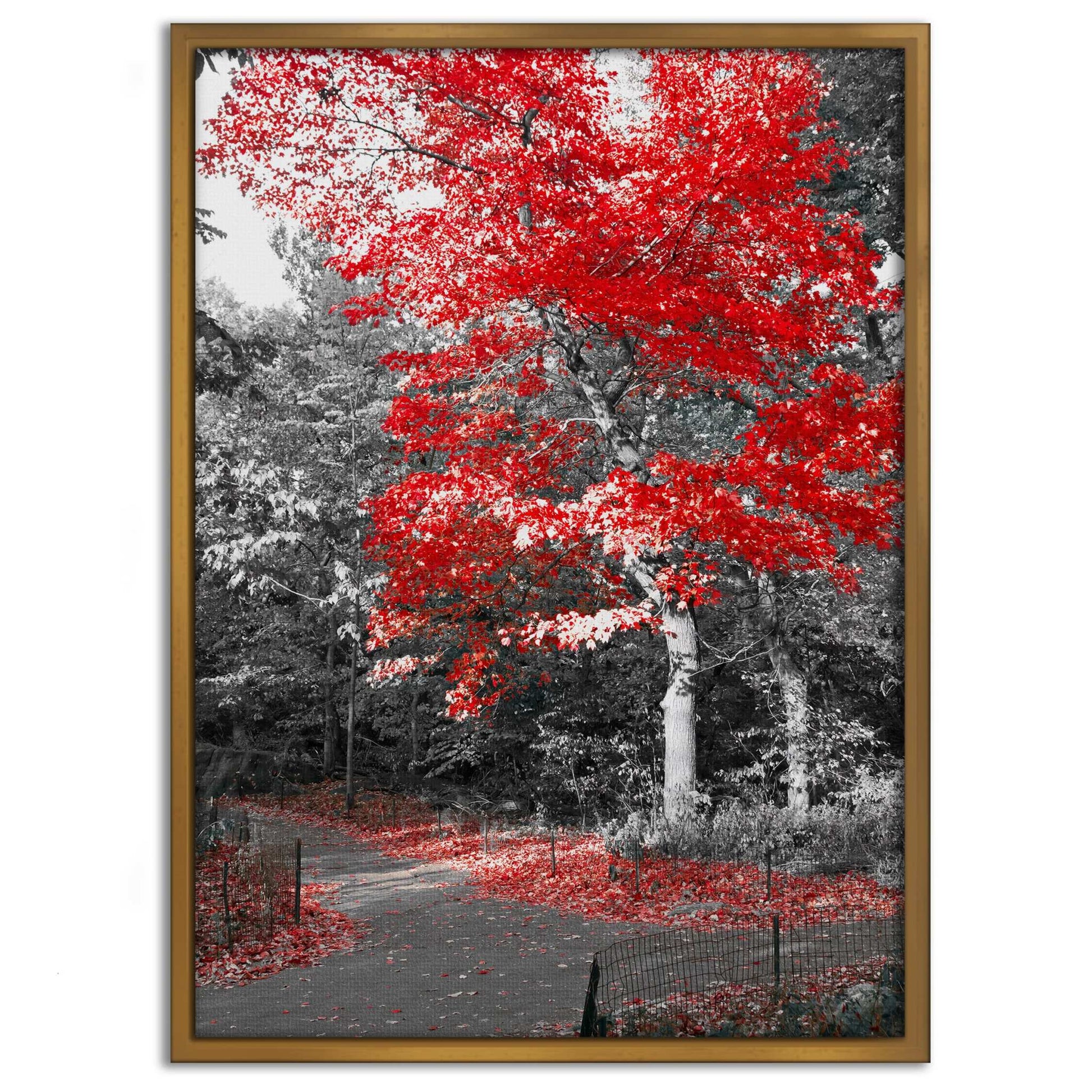 Red Autumn - Leinwandbild Landschaft by SimpleCanvas