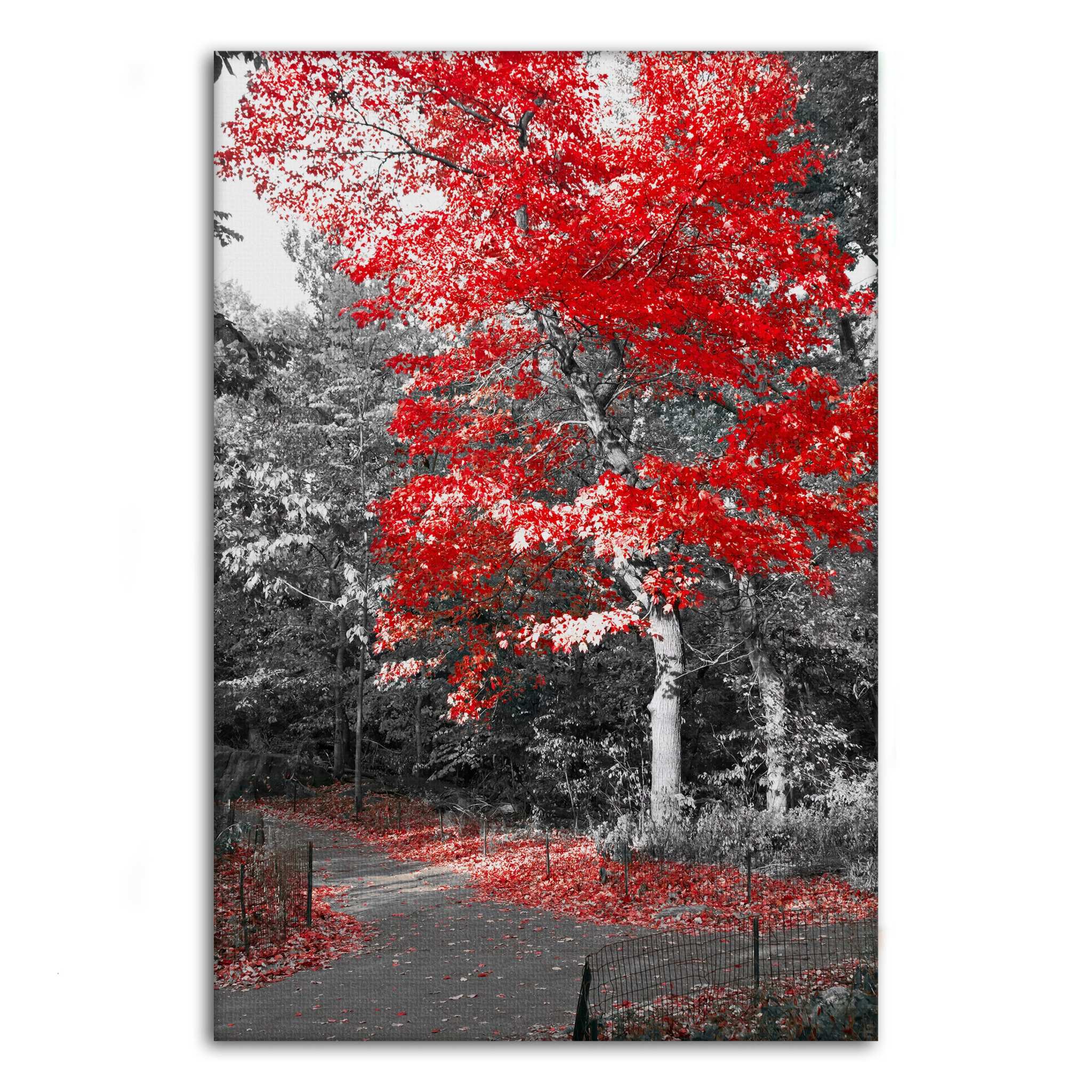 Red Autumn - Leinwandbild Landschaft