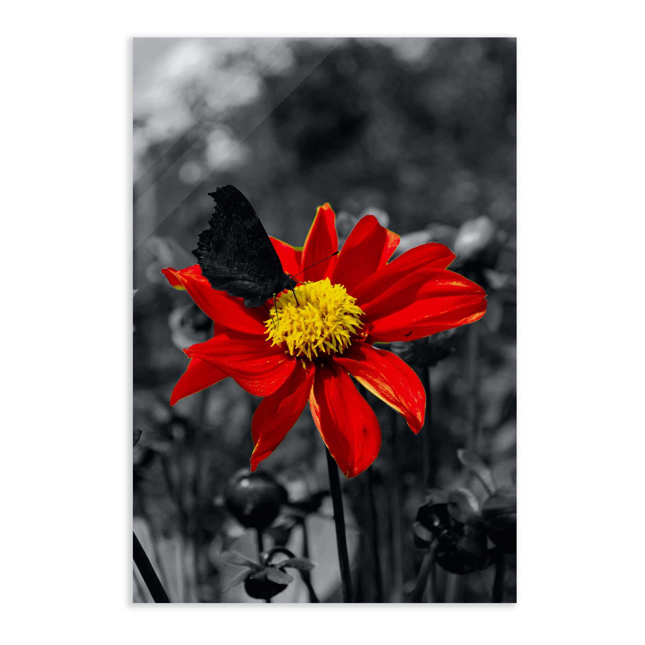 Red Flower - Leinwandbild Landschaft