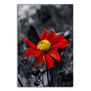Red Flower - Leinwandbild Landschaft by SimpleCanvas