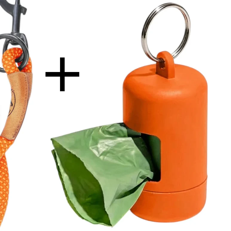 Reflektionsleine GLOW stark reflektierend mit Handschlaufe und vegan