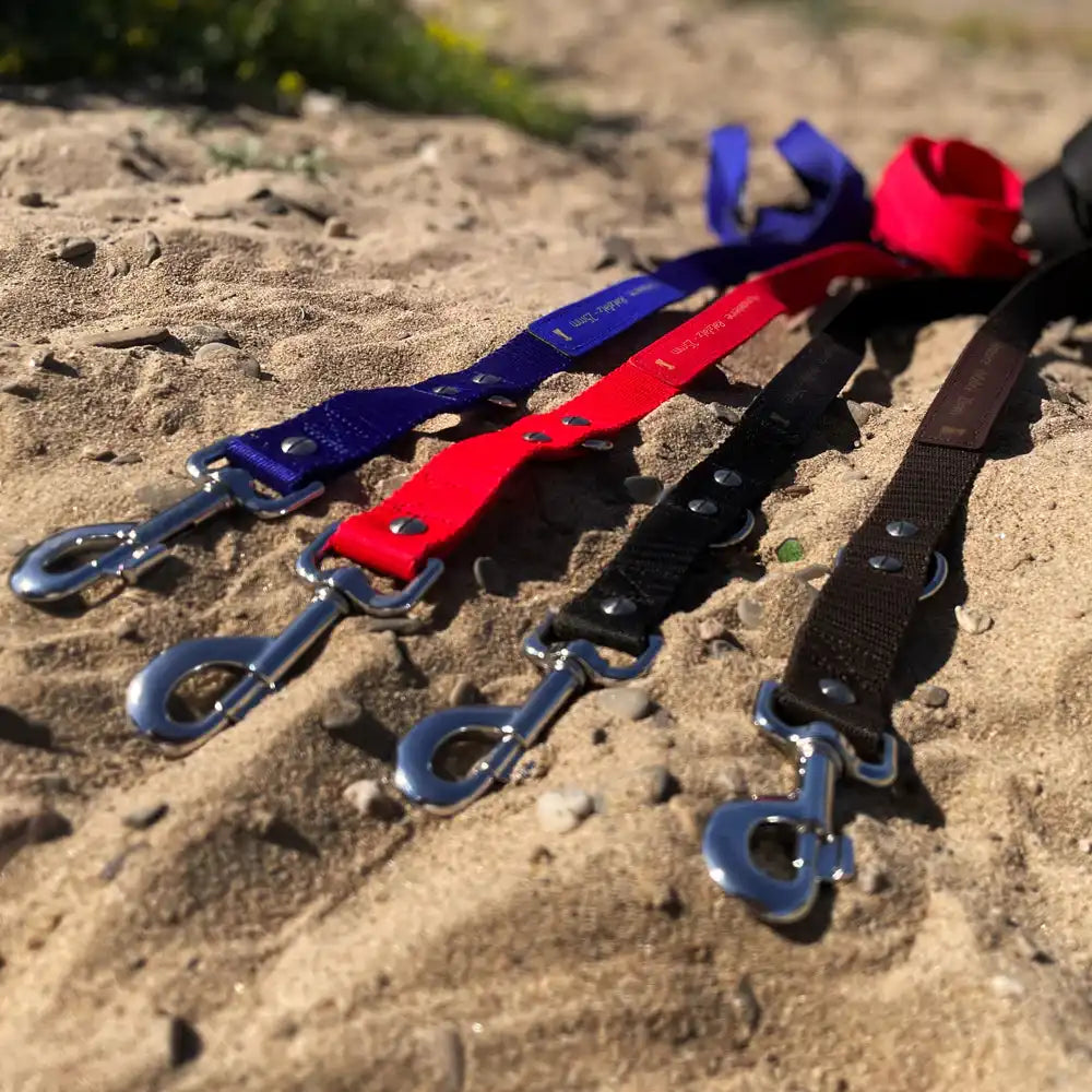 Hundeleine RATZFATZ aus BioThane®/POP - Band by Der Hundegefährte