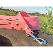 Hundeleine UM'S ECK (1,50 m) aus BioThane®/POP - Band by Der Hundegefährte