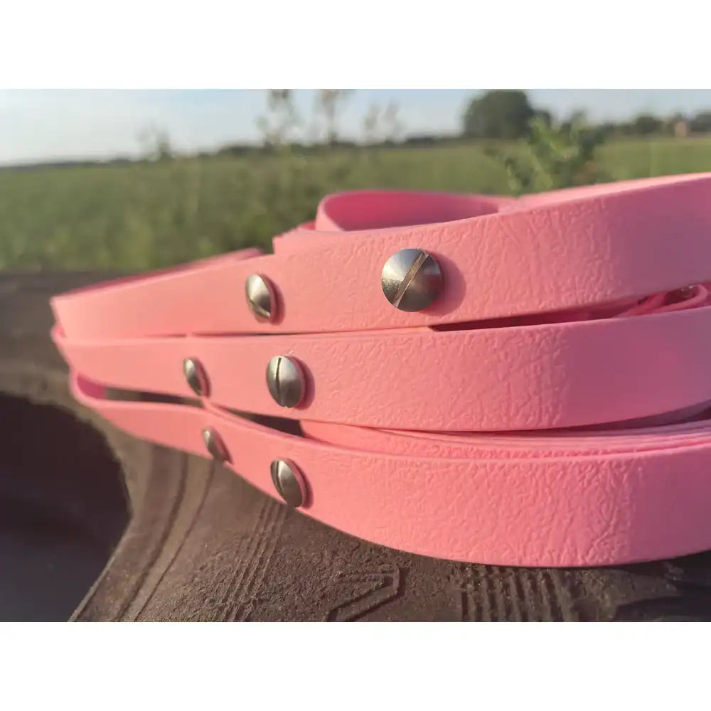 Hundeleine UM'S ECK (1,50 m) aus BioThane®/POP - Band by Der Hundegefährte