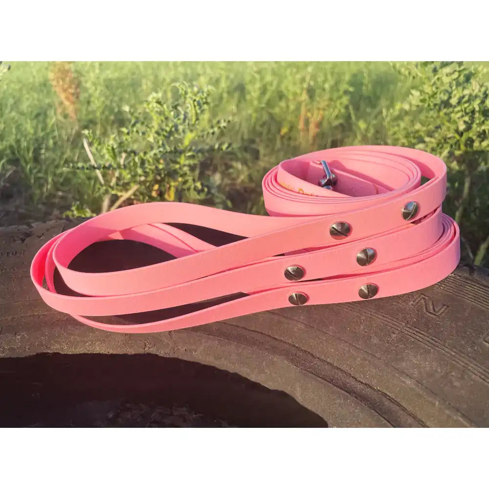 Hundeleine UM'S ECK (1,50 m) aus BioThane®/POP - Band by Der Hundegefährte