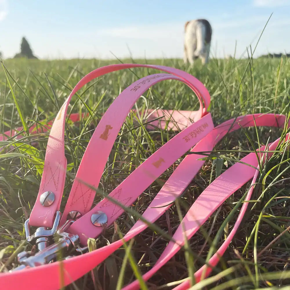 Hundeleine UM'S ECK (1,50 m) aus BioThane®/POP - Band by Der Hundegefährte