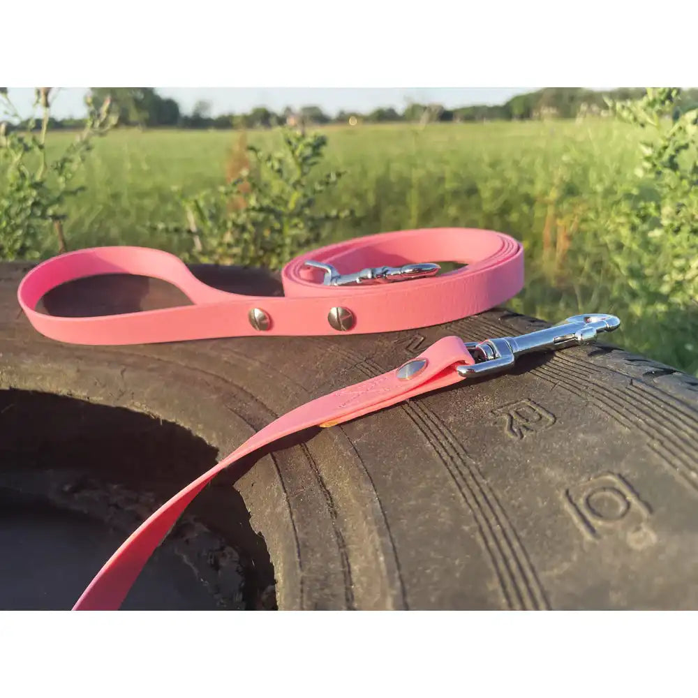 Hundeleine UM'S ECK (1,50 m) aus BioThane®/POP - Band by Der Hundegefährte