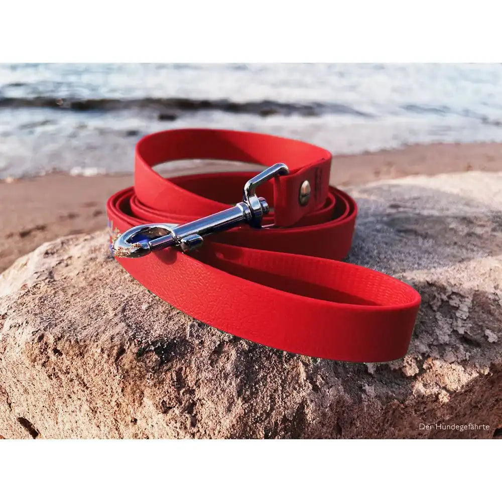 Hundeleine UM'S ECK (1,50 m) aus BioThane®/POP - Band by Der Hundegefährte