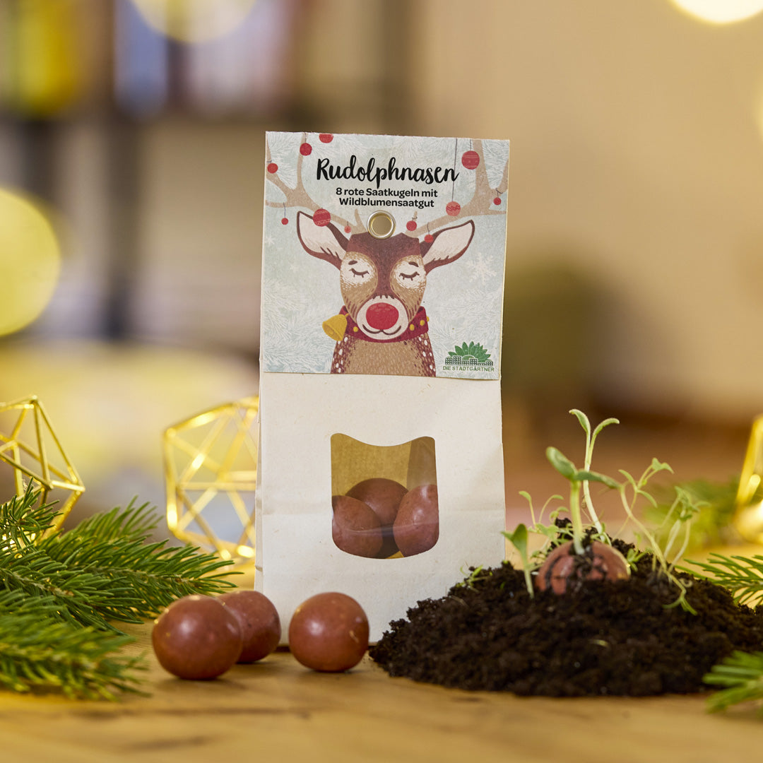 Rudolphnasen – Rote Blumenmurmeln