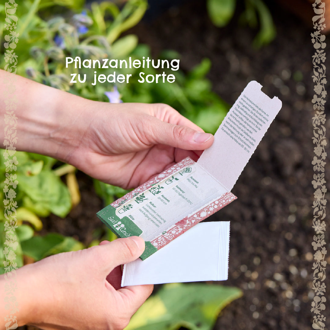 BIO-Saatgut Kornblume