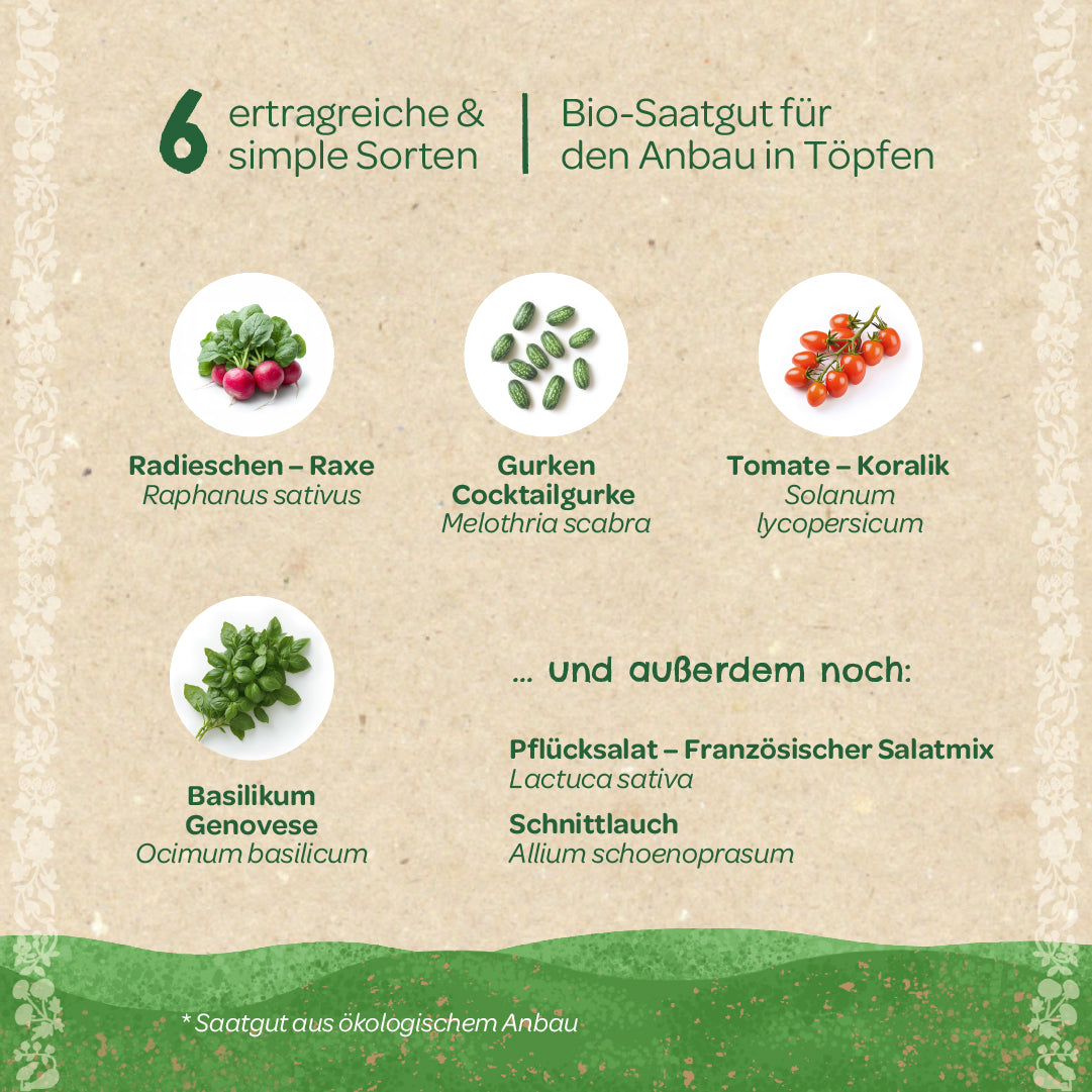 BIO-Saatgut-Set "Balkongemüse"