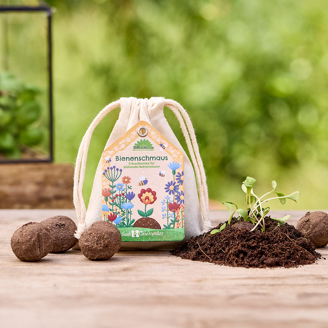Saatkugeln "Bienenschmaus"