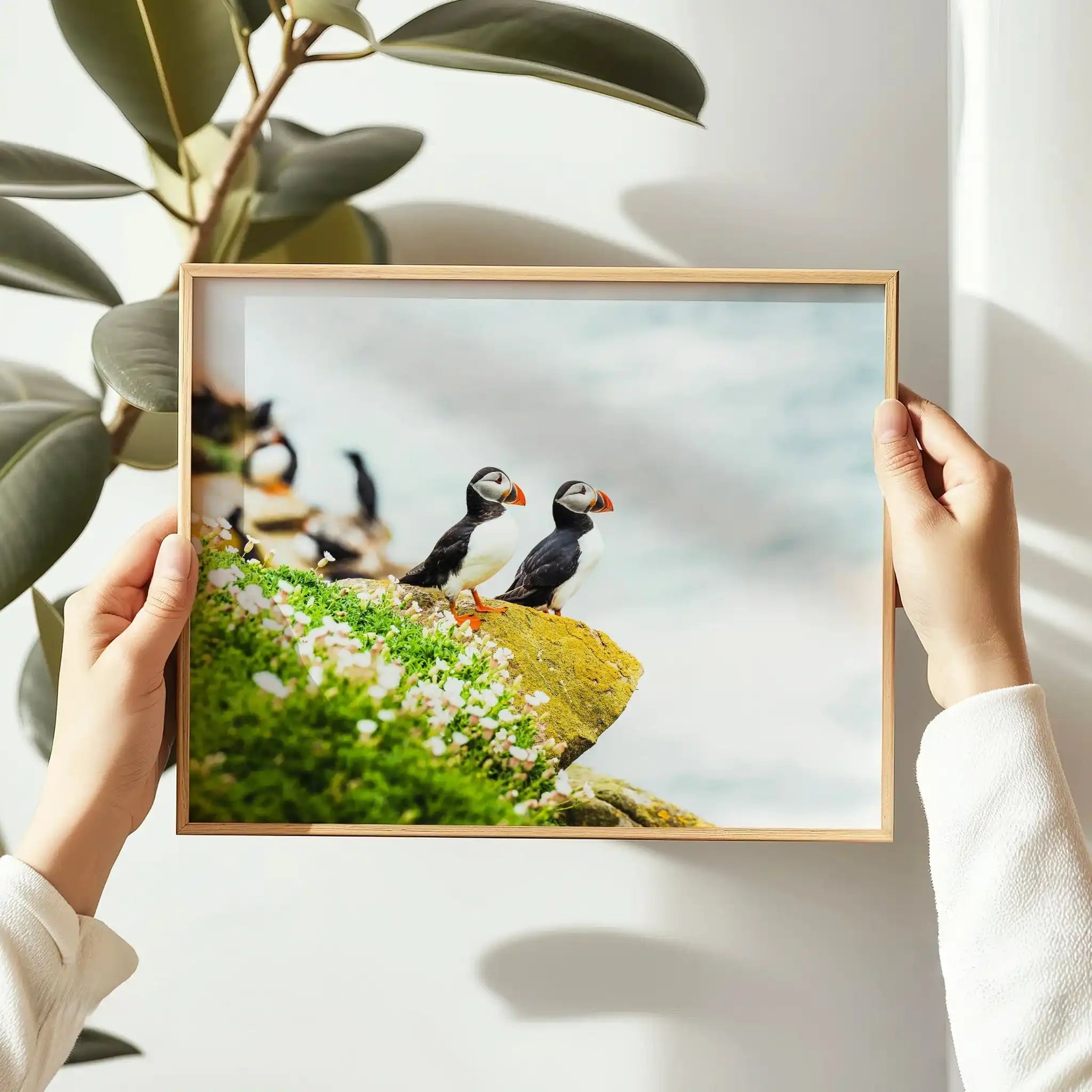 Puffins on Saltee Island – Irish Coastal Wildlife Wall Art by Chamonix Prints