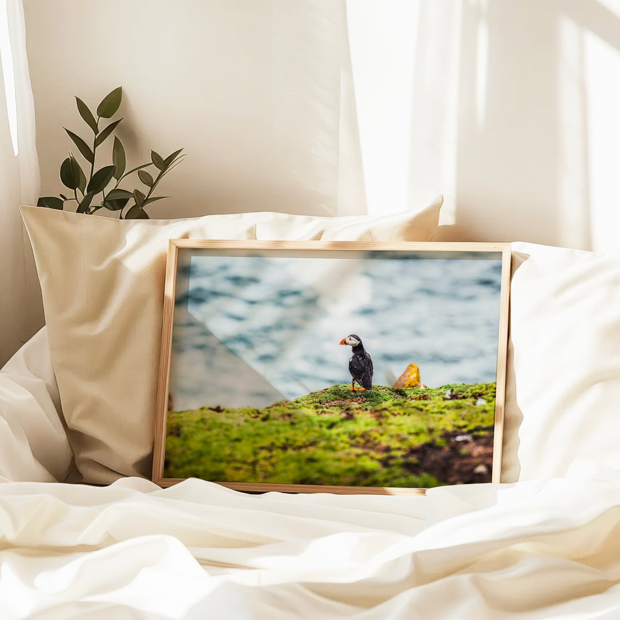 Puffin on Saltee Island – Irish Coastal Wall Art Print