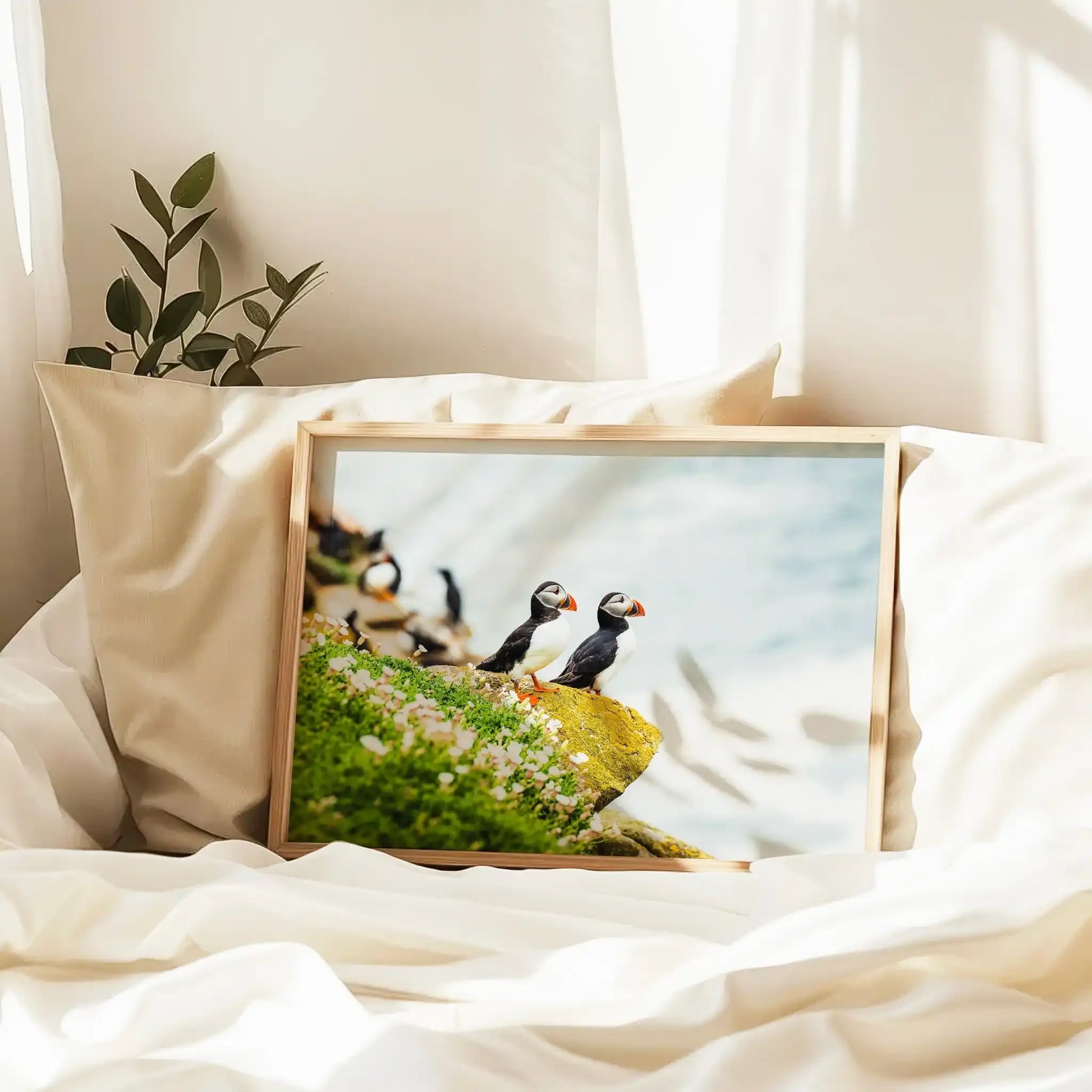 Puffins on Saltee Island – Irish Coastal Wildlife Wall Art by Chamonix Prints