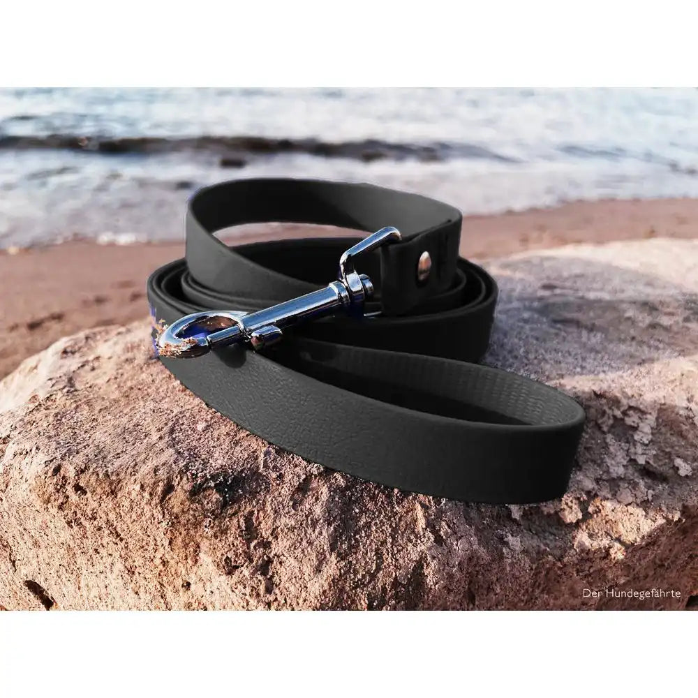 Hundeleine UM'S ECK (1,50 m) aus BioThane®/POP - Band by Der Hundegefährte