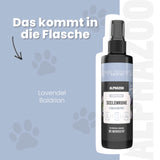 Seelenruhe Körbchenspray für Hunde