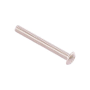 Sicherheitsschr. V2A M5x40 Torx m Zapfen - Japankoi.net