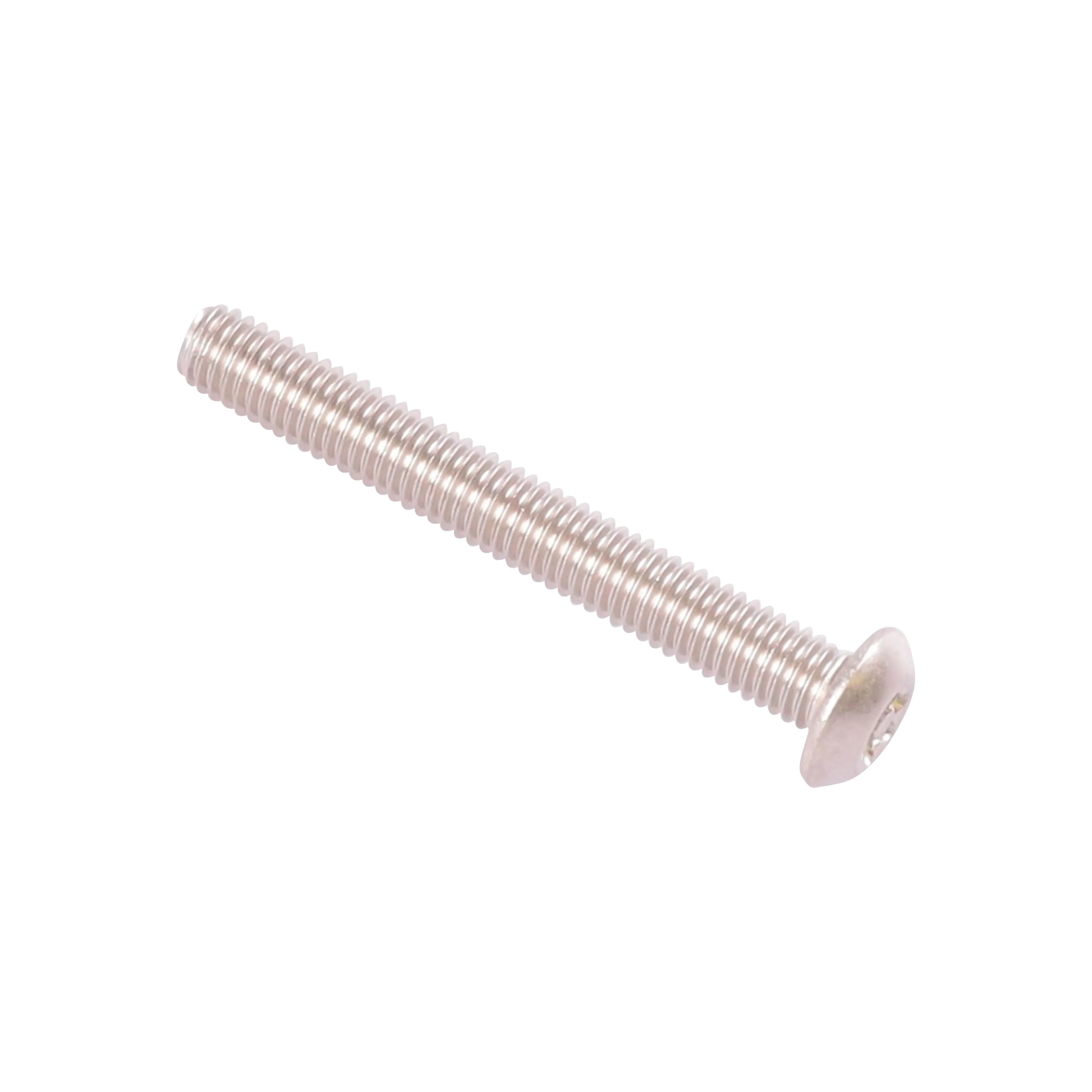 Sicherheitsschr. V2A M5x40 Torx m Zapfen - Japankoi.net