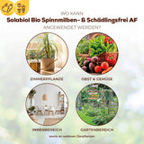 Solabiol Bio Spinnmilben Schädlingsfrei AF