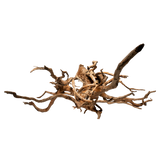 Spiderwood