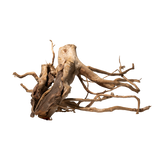 Spiderwood