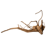 Spiderwood
