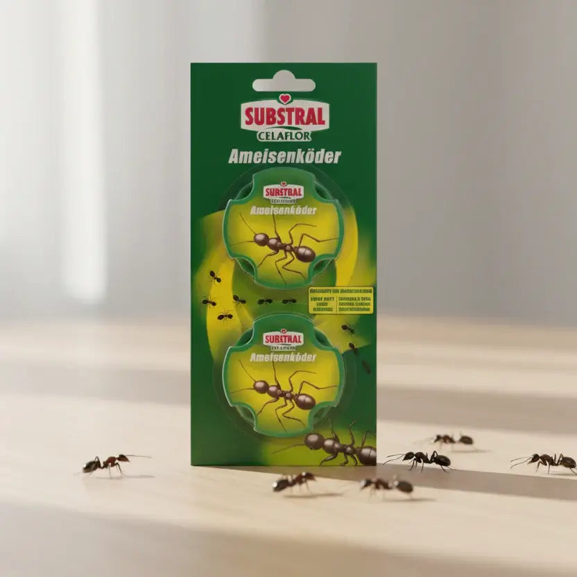 SUBSTRAL® Celaflor® Ameisen-Köder für den Innenbereich 2 St.