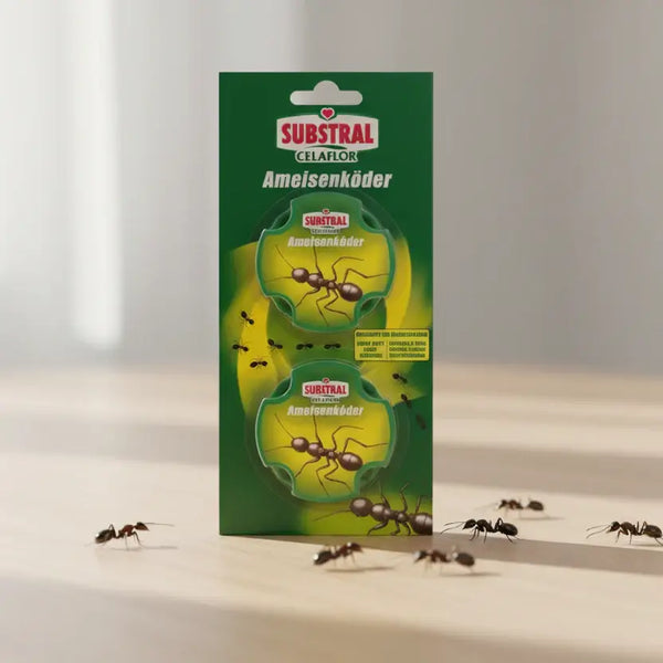 SUBSTRAL® Celaflor® Ameisen-Köder für den Innenbereich 2 St.