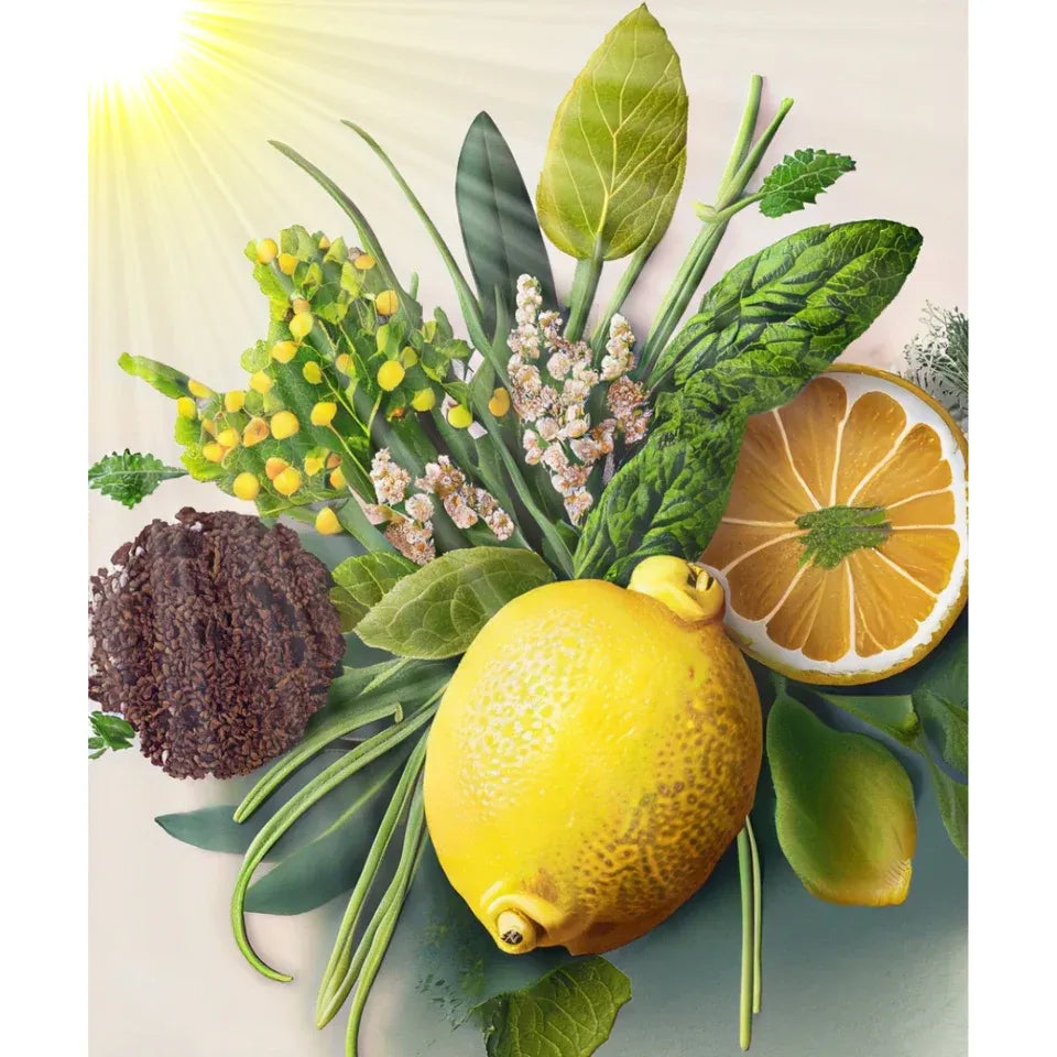 Bio ätherisches Öl „Sunshine in a Bottle“ – Sonnige Frische & neue Energie