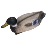 OASE Teichfigur Stockente Erpel