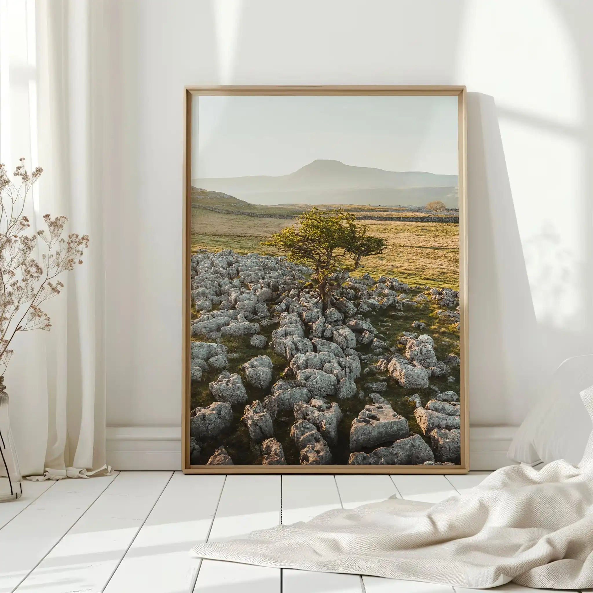 Lone Tree, Ingleborough – Yorkshire Dales Wall Art Print by Chamonix Prints