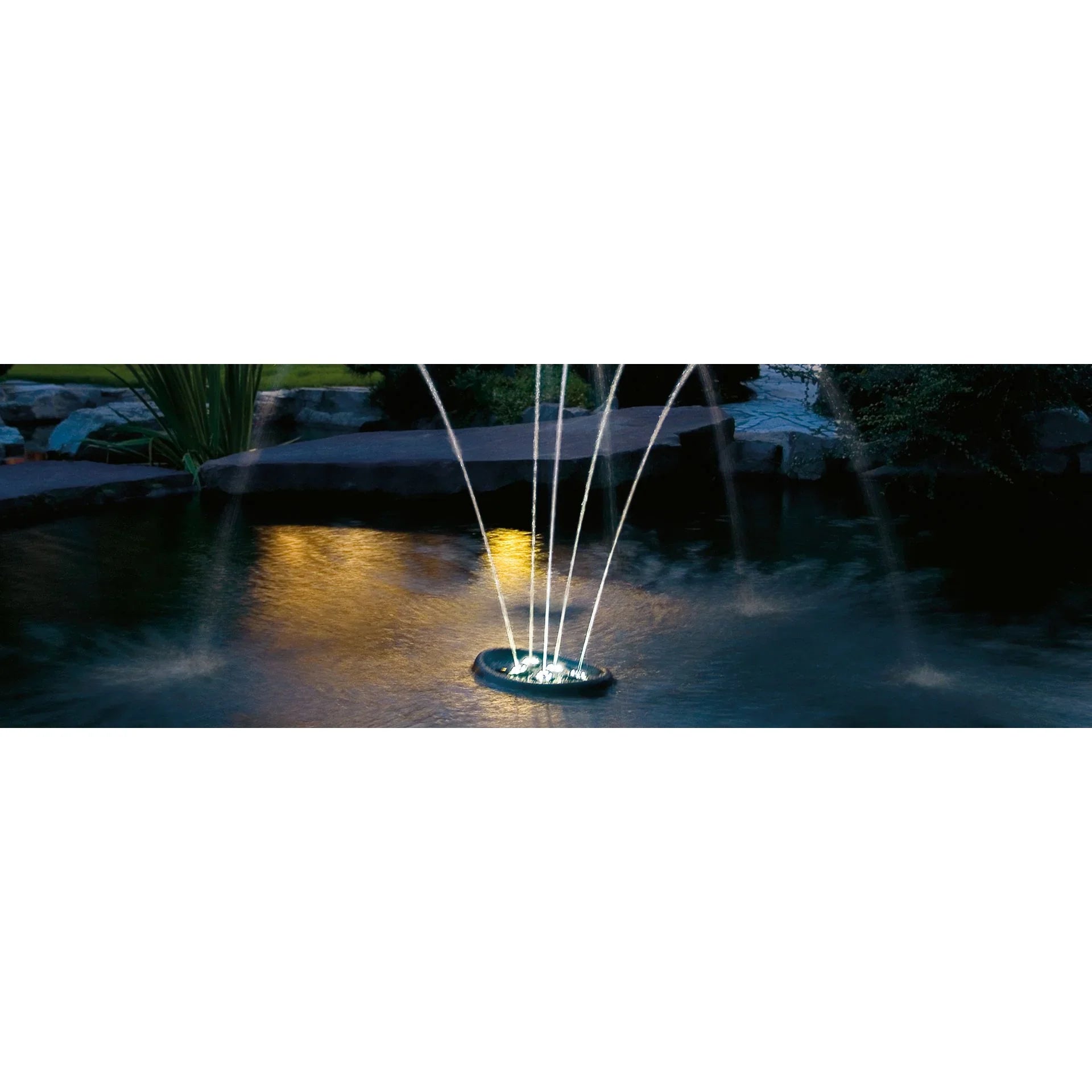Water Starlet - Japankoi.net