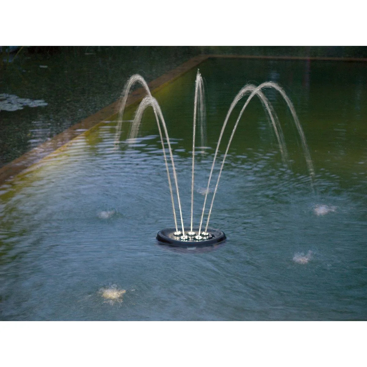 Water Starlet - Japankoi.net