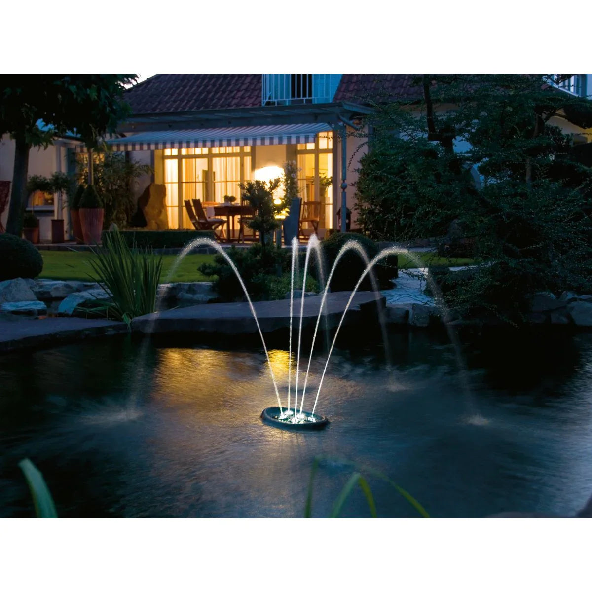 Water Starlet - Japankoi.net