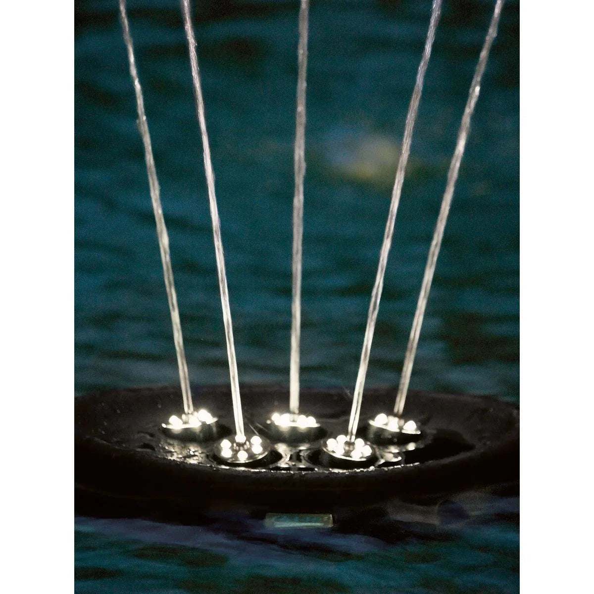 Water Starlet - Japankoi.net