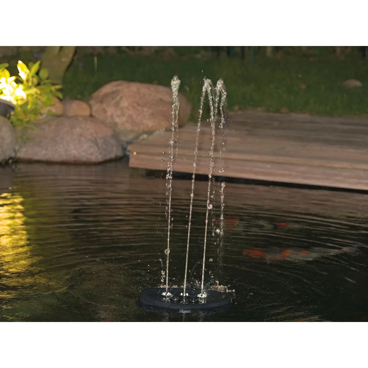 Water Starlet - Japankoi.net