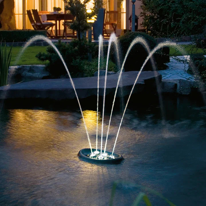 Water Starlet - Japankoi.net