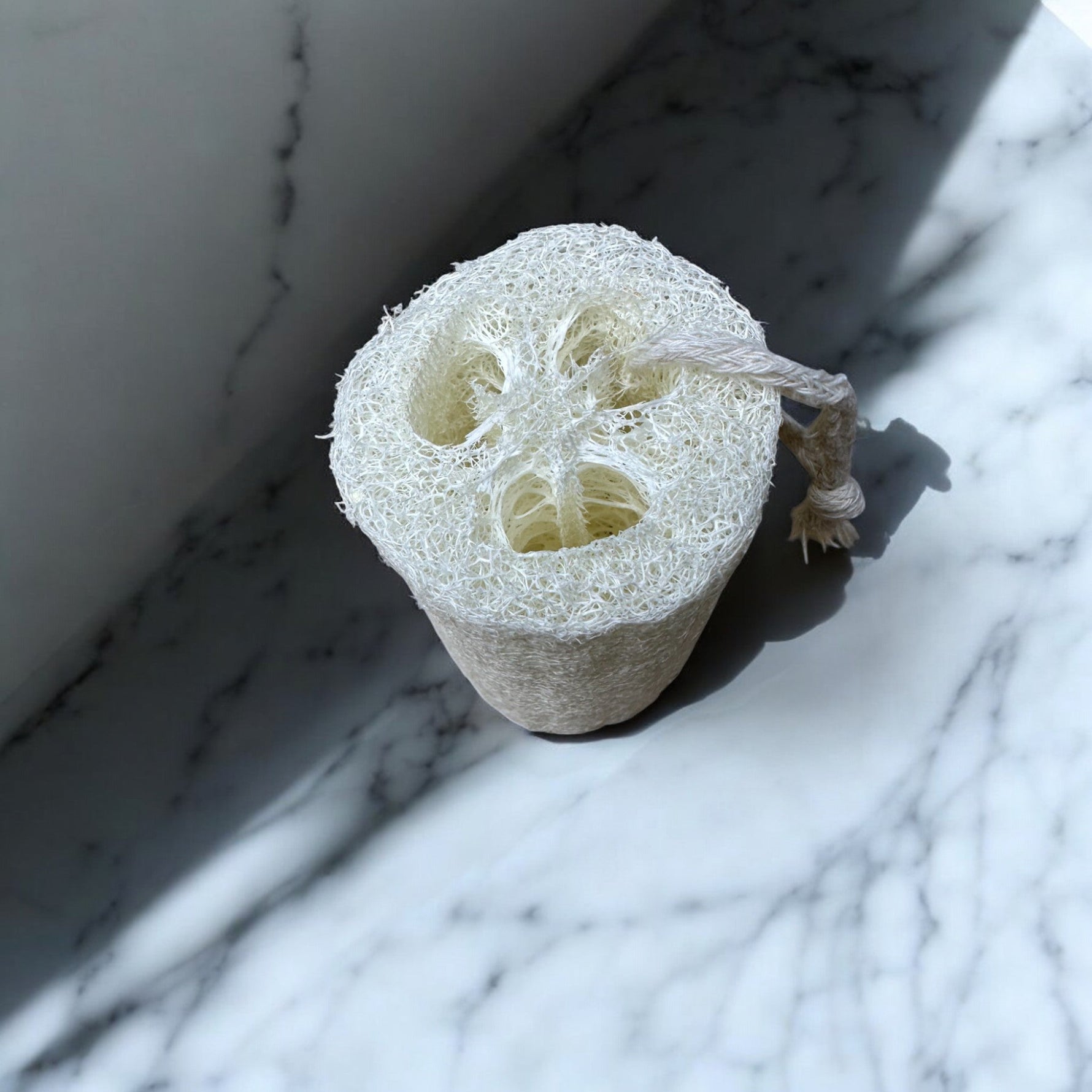 Weicher Luffa-Schwamm