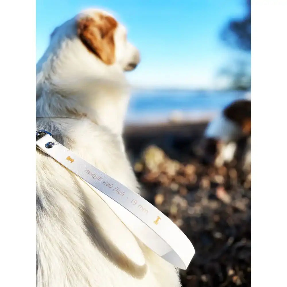 Anti-Stress-Geschirr STURMFREI®, Größe M by Der Hundegefährte