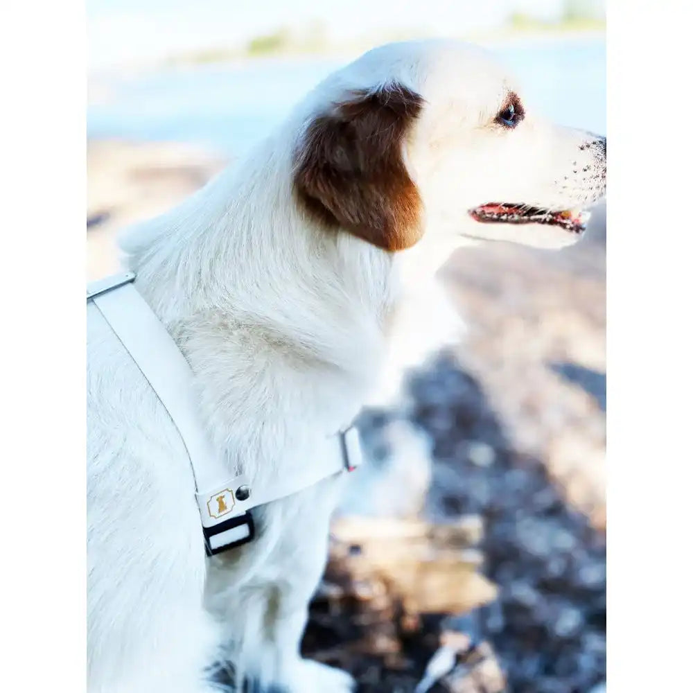 Anti-Stress-Geschirr STURMFREI®, Größe S by Der Hundegefährte